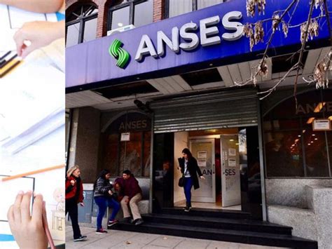 Anses C Mo Realizar El Tr Mite Para Obtener El Certificado De