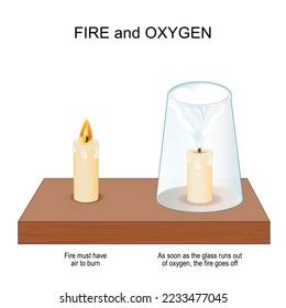 Fire Oxygen Science Experiment Two Candles Stock Vector Royalty Free