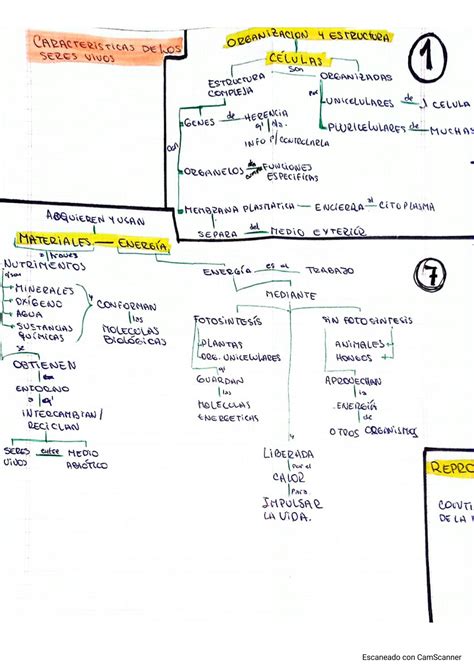 Solution Caracter Sticas De Los Seres Vivos Studypool