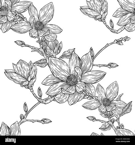 Flowers Seamless Pattern In White Background Line Magnolia