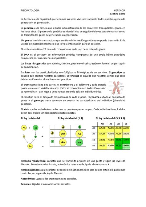 Herencia Y Tumoraci N Warning Tt Undefined Function Warning Tt