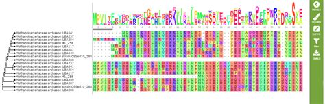 Creating A Visualization Tool For Protein Structure Analysis Using Pyt