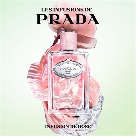 Prada Parfum Infusion De Rose Eau De Parfum News Parfums