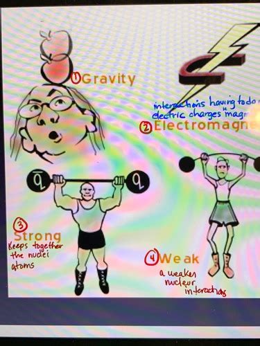 Lecture 2 Energy Flashcards Quizlet