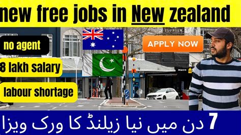 Job In New Zealand New Zealand Work Visa Process High Demanding