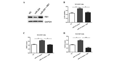 Upregulation Of MicroRNA 132 In Gastric Cancer Promotes Cell