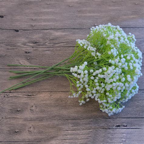 Гипсофила многолетняя: посадка и уход, фото, виды, размножение ...