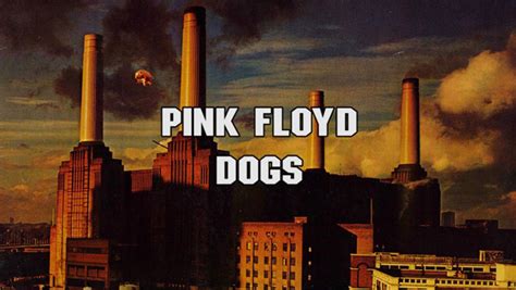 Pink Floyd - Dogs - The Prog Report