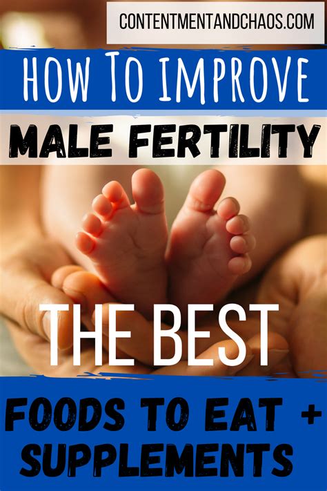 Male Fertility Foods To Eat And Supplements In 2022 Male Fertility