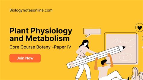 Plant Physiology and Metabolism - Biology Notes Online