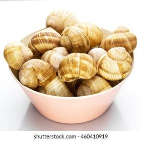 Vino Snails Bowl Escargots De Bourgogne Stock Photo 460410925