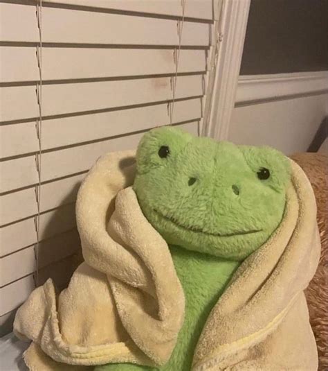 Frog Pfp Cute Froggy Toad Plush Pacman Plushies Sapo Kermit Emilie