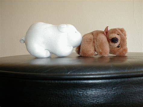 Neue Geile Vorspiel Und Sex Tipps Von Flirtehrer S Flirtschule