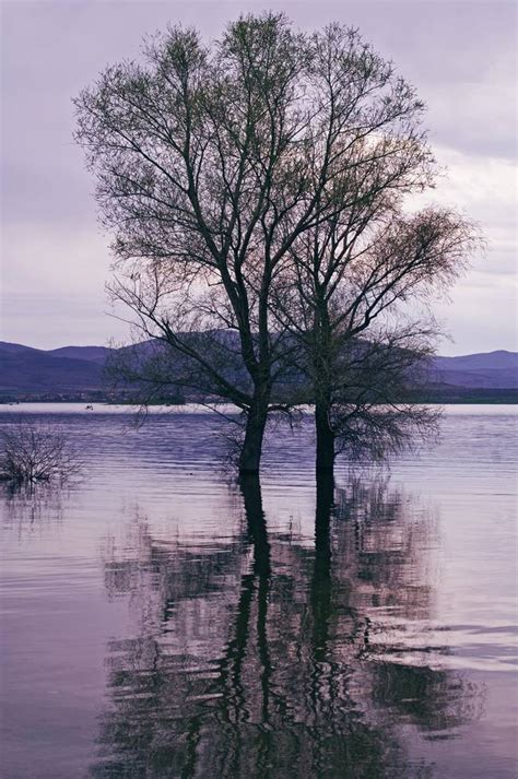 Stefany's Photos - VIEWBUG.com