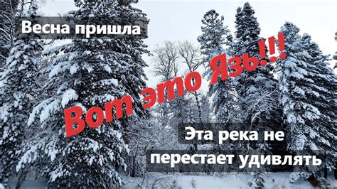 Вот это Язь!!! В этот раз попался Язь! - YouTube