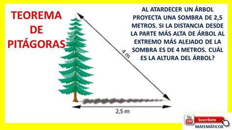 524 APLICACIÓN DEL TEOREMA DE PITÁGORAS al atardecer un árbol proyecta