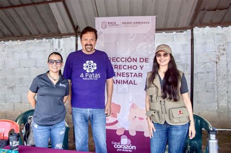 Realiza SMADS y Asociación Civil 4 Patas Campaña de Esterilización para