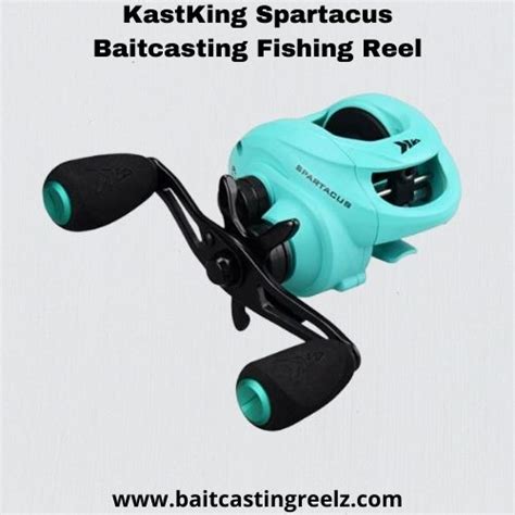 Best Baitcasters Under 100 dollars (2025 Reviews)