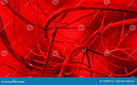 Blood Vessels. Circulatory System Stock Illustration - Illustration of system, medicine: 122068112