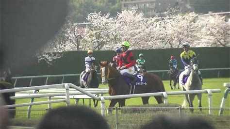 大阪杯gⅠ 現地 レース後 勝ったジャックドールと武豊騎手など引き上げる各馬 202342 阪神競馬場 11r Youtube