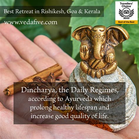 Dincharya Daily Regimes By Veda5 Best Ayurveda Yoga Wellness