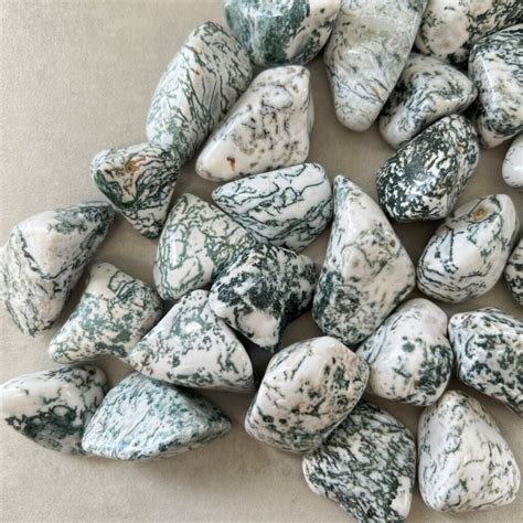 Agate Tree Tumbled Stones Xl 350g Chakra Wholesale