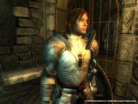 Купить The Elder Scrolls IV: Oblivion Game of the Year Edition дешево ...