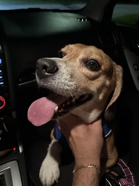 Looking at the herald review decatur il reveals a lost treasure 6