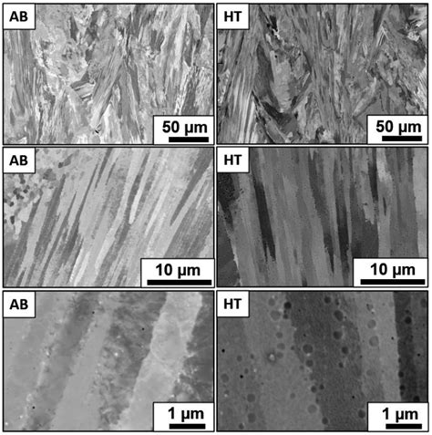 Sem Images Of As Built Structure Left And Heat Treated Structure