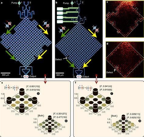 Demonstration Of Topological Protection Of Quantum Entanglement Against