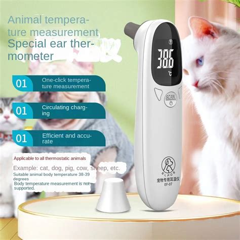 Store Home Products Summer Sale Feedback