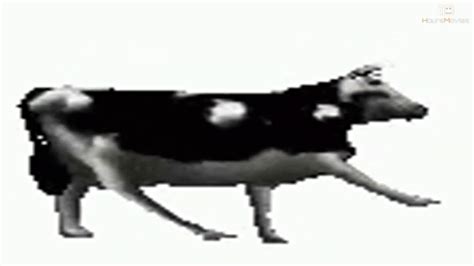 Dancing Polish Cow 10 Hours Youtube