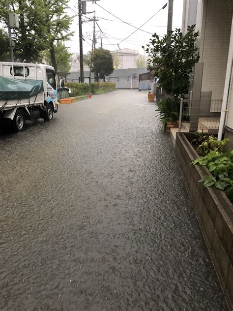 しんじこ 着発おじさん on Twitter こちら春日部 空き缶を捨てに行ったら冠水してた https t co