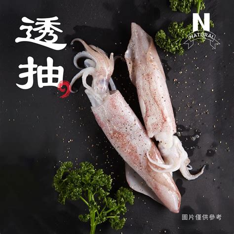 透抽 Squid 園芯貿易有限公司