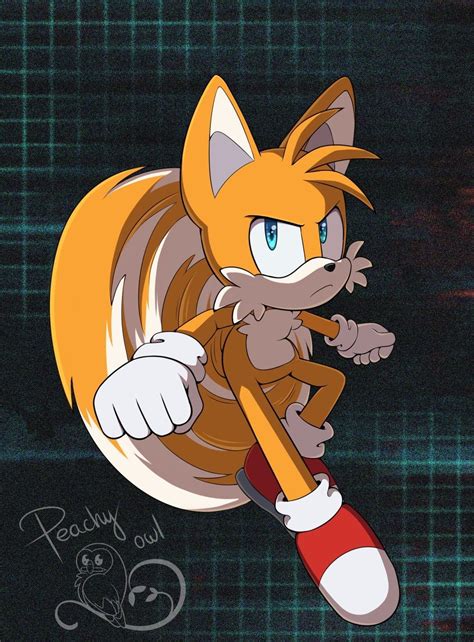 Pin by Cute Dragon on Tails | Sonic fan art, How to draw sonic, Sonic art