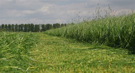 GrassN App 3.0 | Yara Deutschland