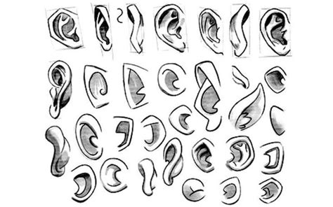 How To Draw Manga Style Ears Drawing Here •°how To Draw No 2