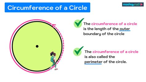 How To Find The Circumference Of A Circle In 3 Easy Steps — Mashup Math