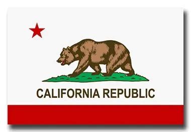 California State Flag History and Design | Carrot-Top Industries