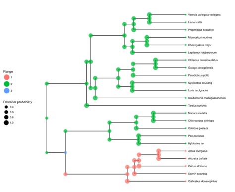 Revbayes State Dependent Diversification With The Classe Model