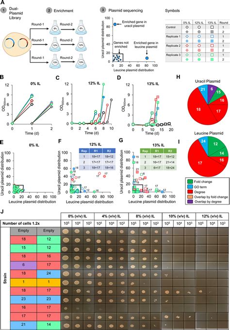 A Gene Coexpression Clusters For The Top Performing Genes And