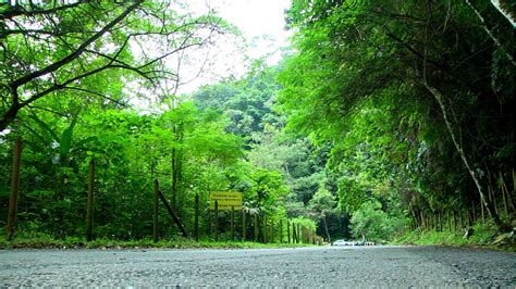 Unidos Para Salvar El Planeta Corantioquia Firma Convenios Con