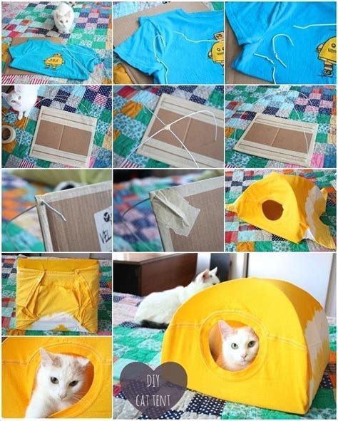 How To Make A Cat Tent From An Old T Shirt Pictures Photos And Images