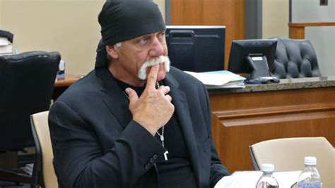 USA Wrestler Hulk Hogan will 100 Millionen Dollar für Sex Video DER