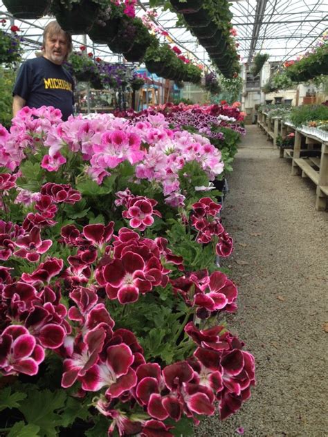 Dammann S Garden Center Greenhouse 4914 Rockville Rd Indianapolis