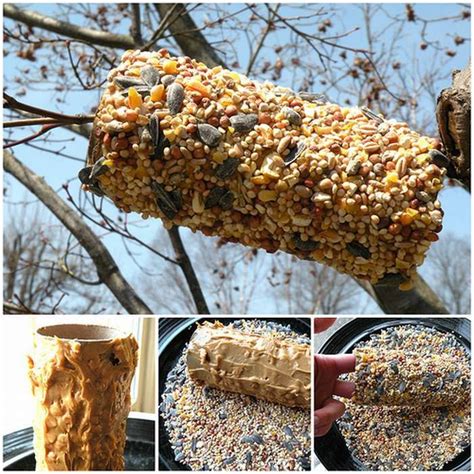 Съедобные кормушки из картона фото | Самодельные кормушки, Самодельные ...