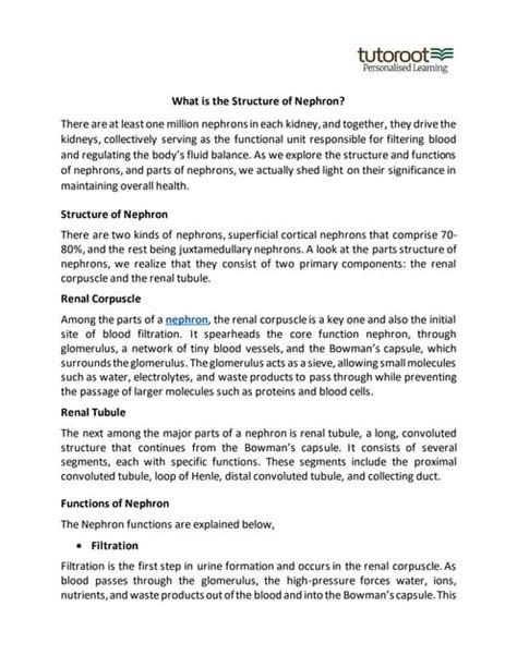 What is the Structure and Types of Nephron? | PDF | Free Download