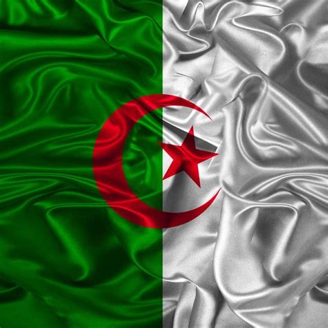 Drapeau Algérie Illustration Agitant Fibre 3d Png Drapeau Algérien