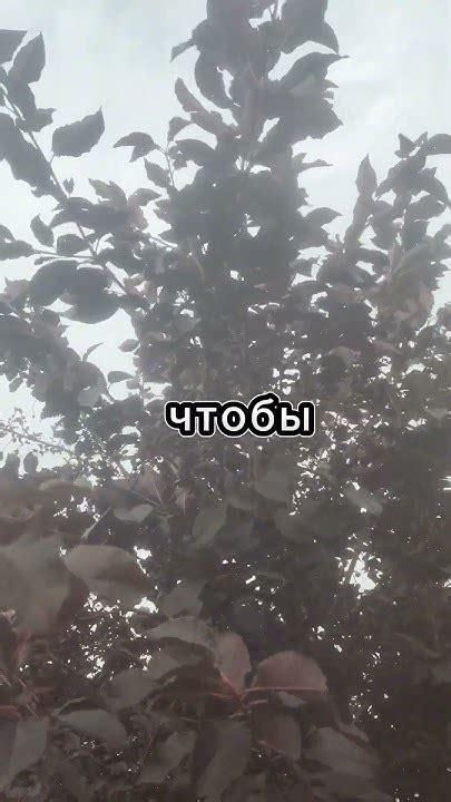 Мудрость #психология #философия #мотивациянауспех - YouTube