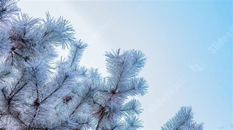 Winter Snowy Powerpoint Background For Free Download - Slidesdocs